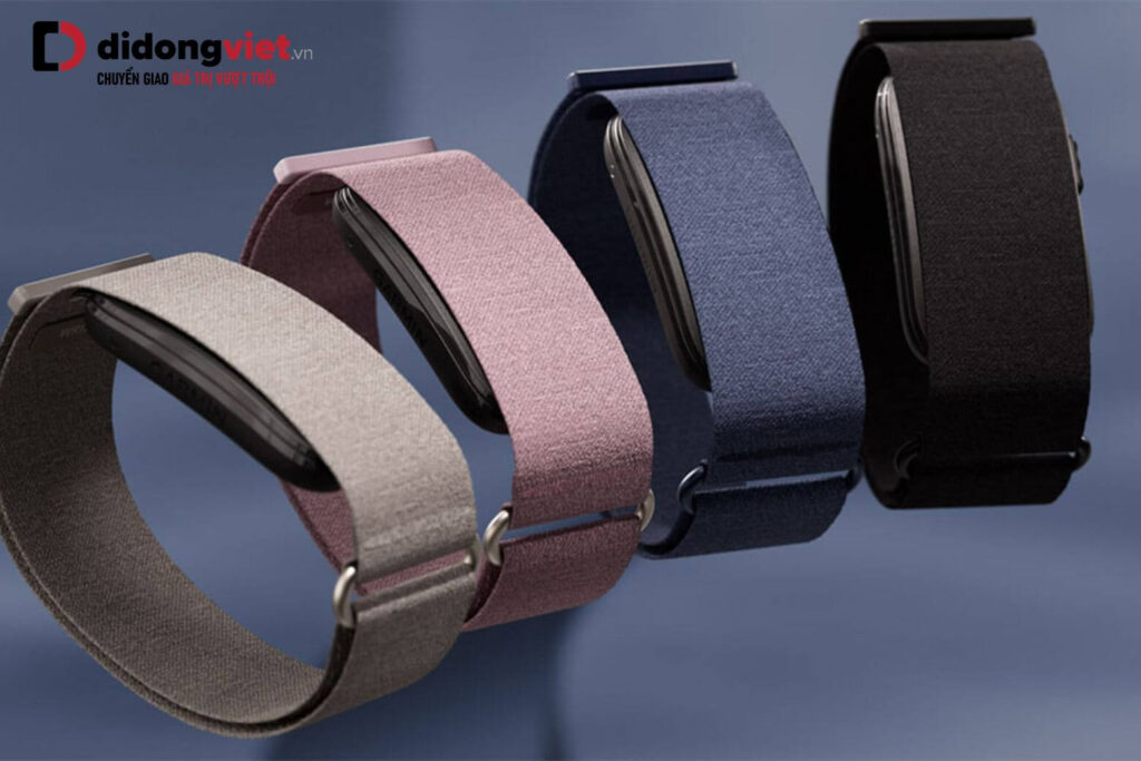 Đánh giá chi tiết Garmin CIRQA: Vòng tay sức khỏe không có màn hình 7 Garmin CIRQA sở hữu trọn đời, không mất phí thuê bao hằng tháng.