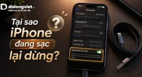 Tại sao iPhone đang sạc lại dừng? Nguyên nhân và cách xử lý Tại sao iPhone đang sạc lại dừng? Nguyên nhân và cách xử lý