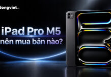 iPad Pro M5 nên mua bản nào? Hướng dẫn chọn cấu hình theo nhu cầu thực tế